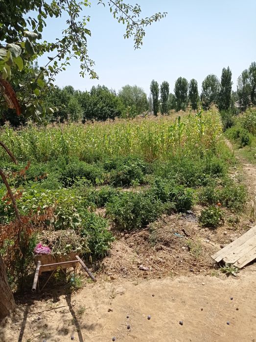 Chinozda uy sotiladi