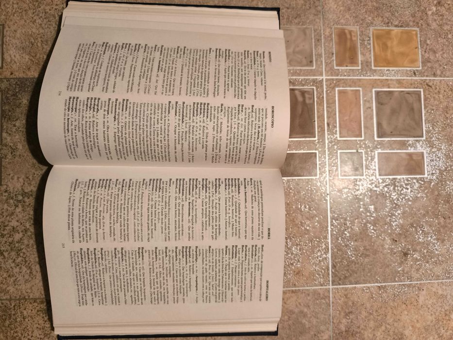 Тълковен речник на португалскиия език - като нов, том 3