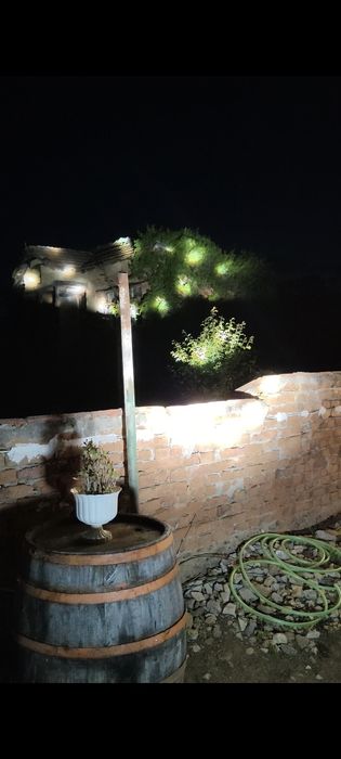 Sky Rose ефек за клуб(дискотека)