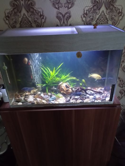Продам аквариумы