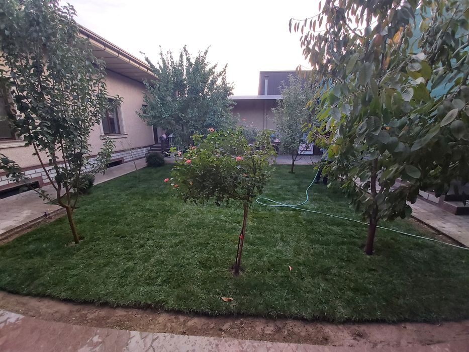 Газон уруглари ва тайёр рулонларини экиш билан шугулланамиз.