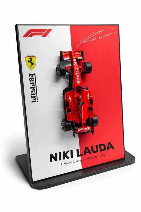 Premium 3D Avto Panel / Dekor F1