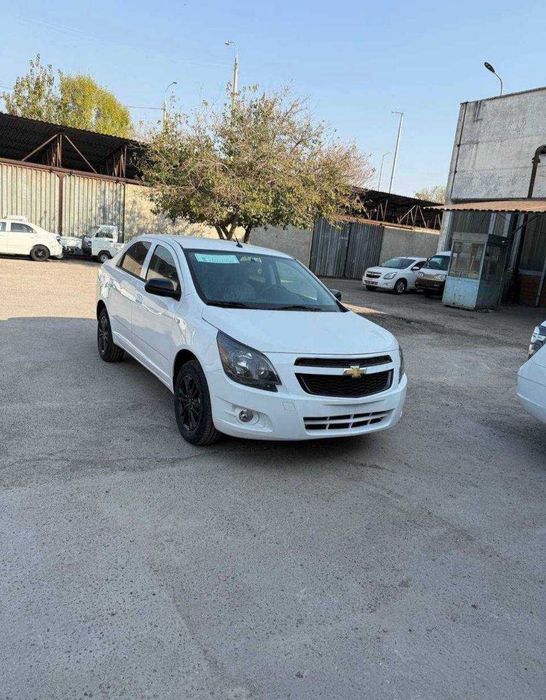 MCM 2026 Cobalt pachka