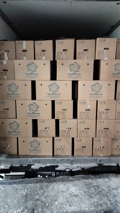 Реализем Яйцо куриное только оптом