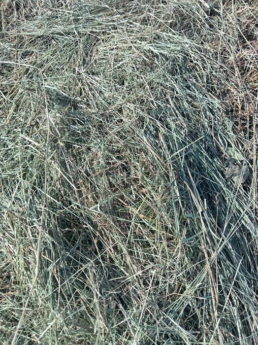 Продаётся сено Астана