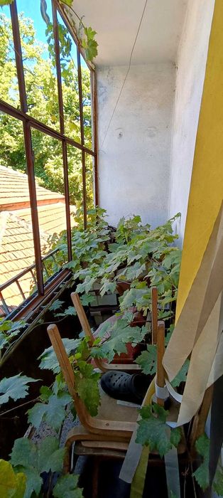 Продава се Тристаен апартамент в Стара Загора, Център - 70 кв.м за 1429 €/кв.м - Снимка #5