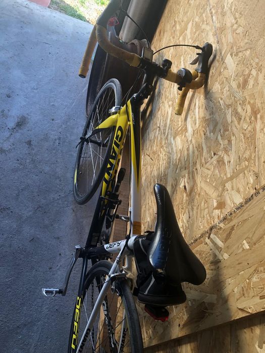 Bicicleta cursiera