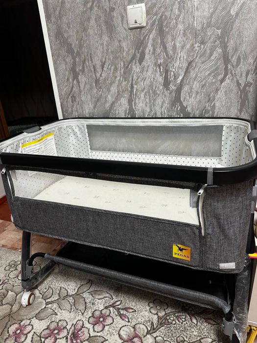 Көп ұсталмаған ноябырда алынған