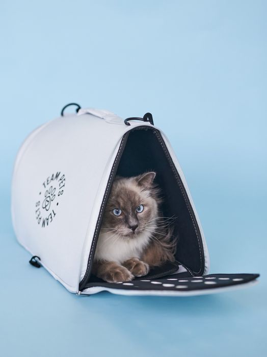 Geanta transport animale