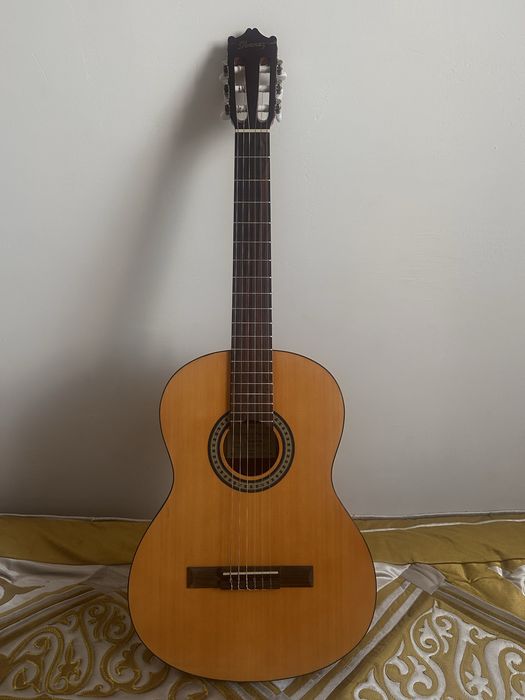 Классическая Гитара Salvador Ibanez