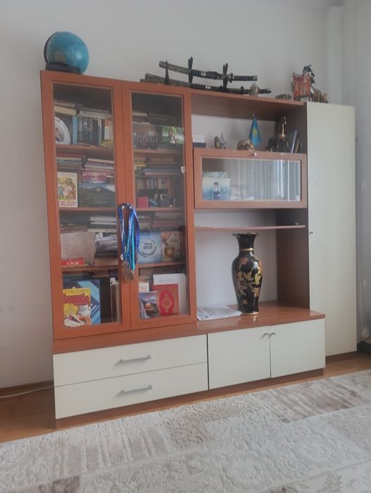 Шкаф для книг,  телевизора  и вещей.