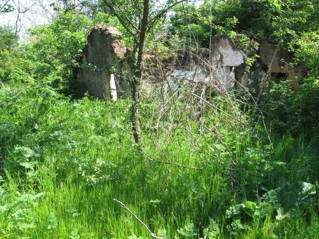 Продава се Парцел в с. Безводица, Област Добрич - 3152 кв.м за 3 €/кв.м - Снимка #3