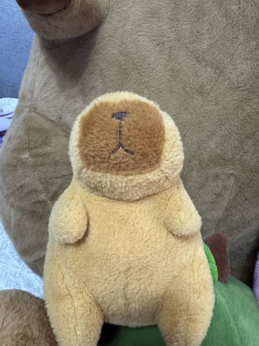 Продам капибар. Семья блин)))