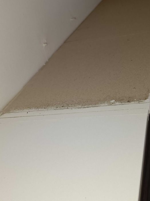 35 LEI ORA Salut! Ofer servicii de curățenie în case și apartamente
