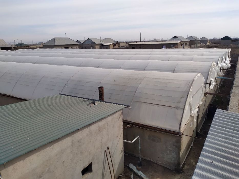 Parnik turar joy sptiladi