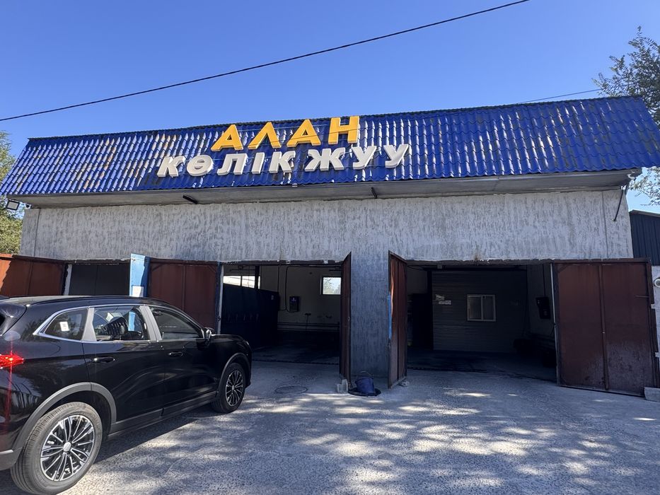 Самамойка *Алан*