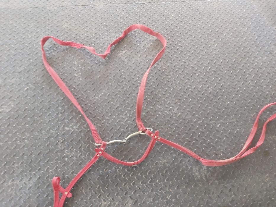 Жүген сатылады таидыкы