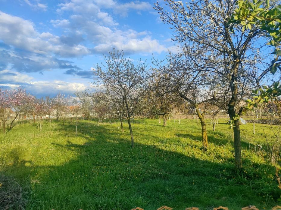 Vând casă cu grădină