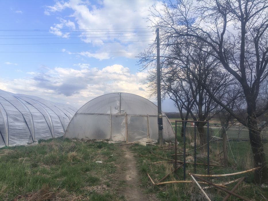 Tiava roluita 48.3 cu 3 MM  groasa 21.5 kg  135 de Ron bucata u