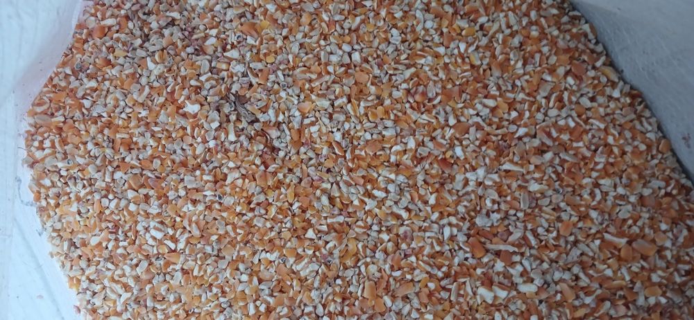 Жохори сотилади арзон нахларда