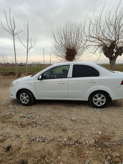 Нексия-3 сотилади, Музработда суяги тоза,