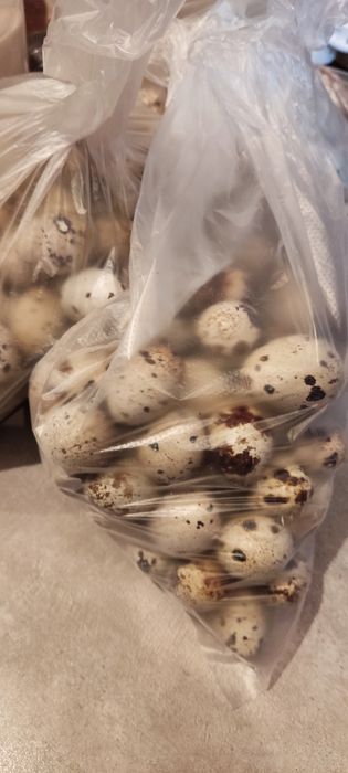 Перепелиные яйца.