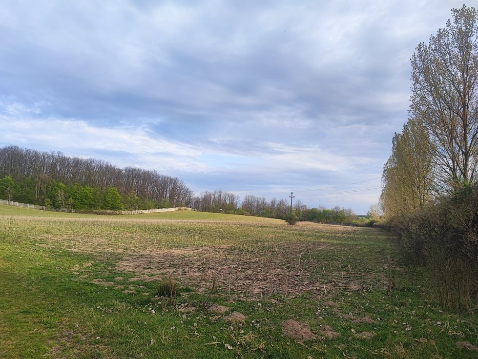 Teren  împrejmuit 6,40 ha