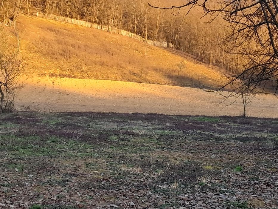 Vând teren intravilan