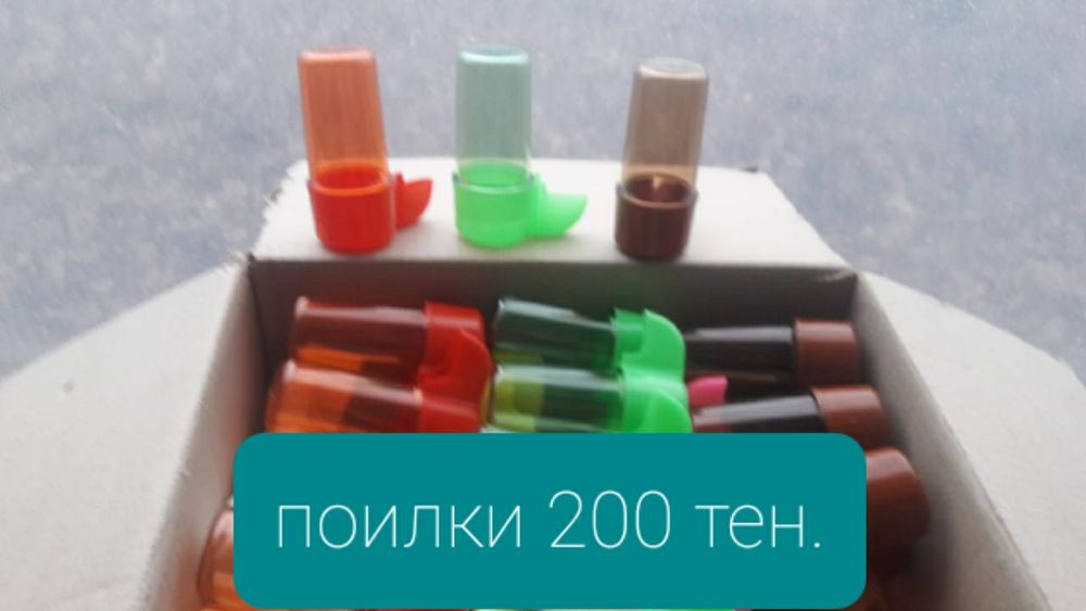 Все для канареек и попугаев.