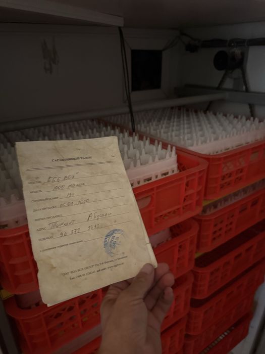 Inkubator sotiladi yangi holatda