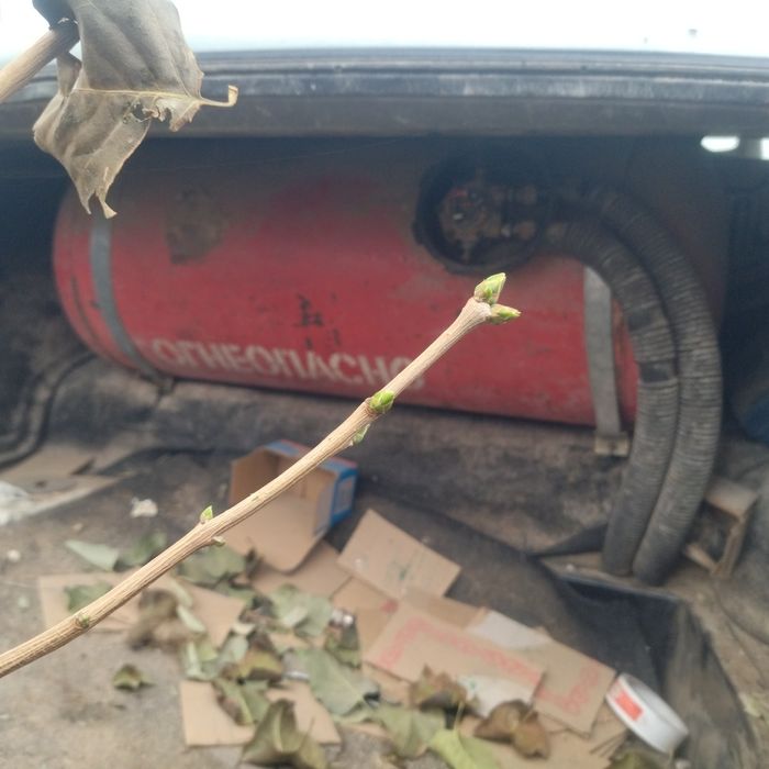 На запчасть Ауди 100