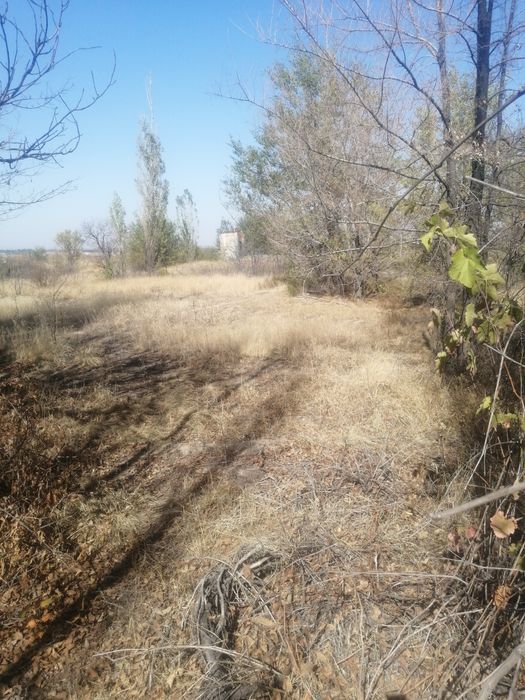 Продам дачу. Акшы