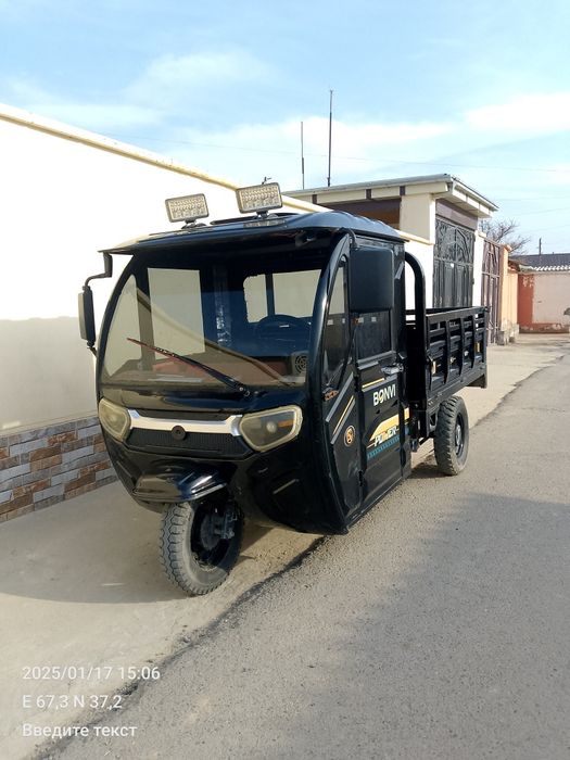 Муравей электричиский