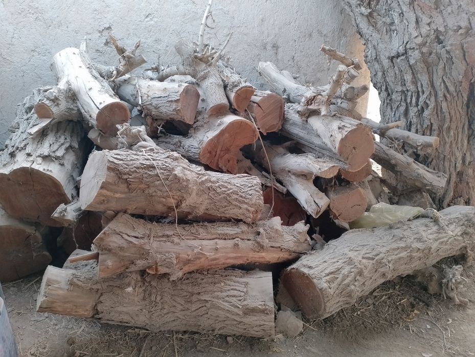 Тароша, кунда сотилади