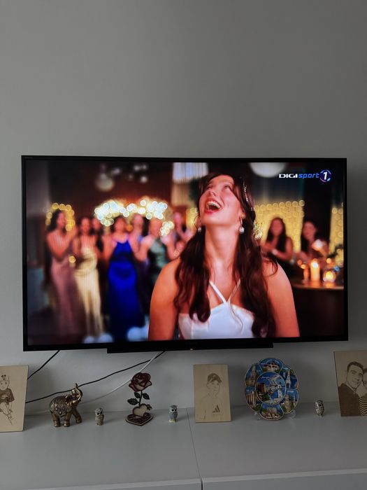 Sony bravia diagonala 121
