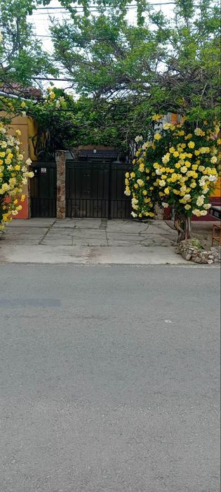 Vand casa Aradul nou