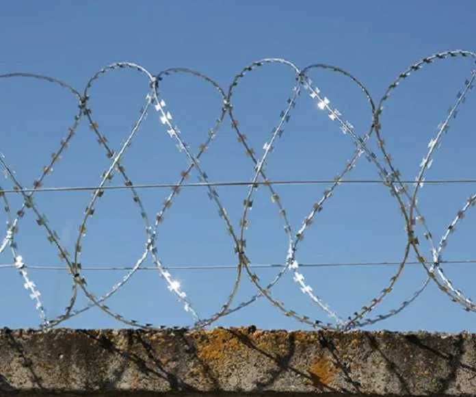 Проволока колючая, егоза