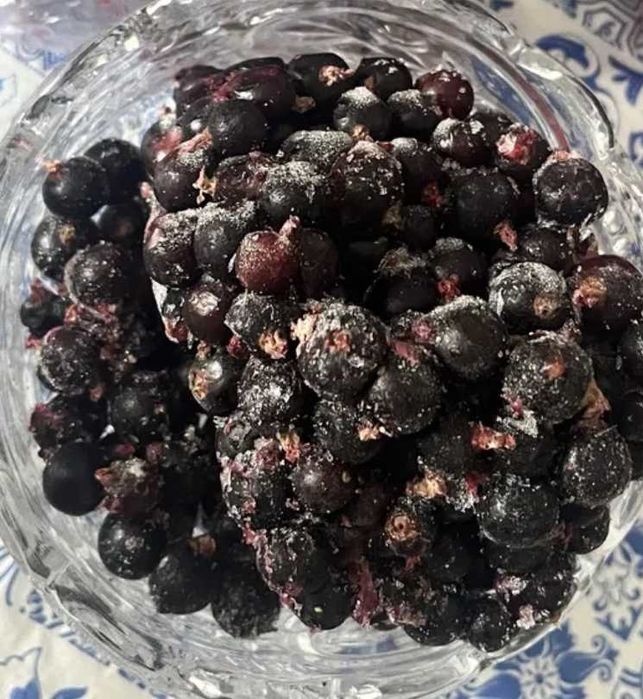 Чёрная смородина, мороденнач