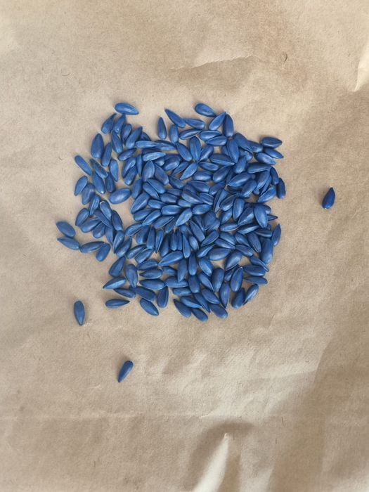 Пшеница.Платный чат! Все корма.