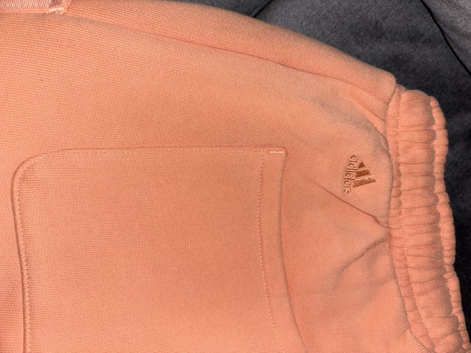 Adidas Ivy Park Beyonce pants