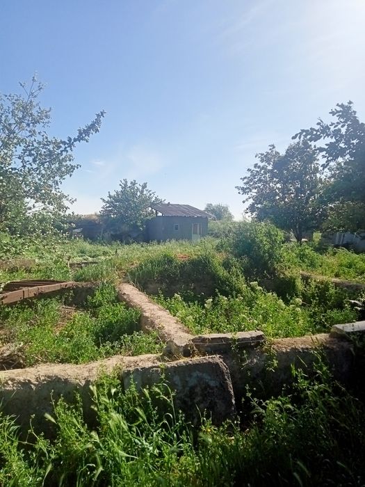 Yer sotiladi 7 sotix