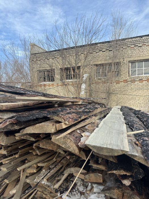 Дрова бесплатно отын тегин