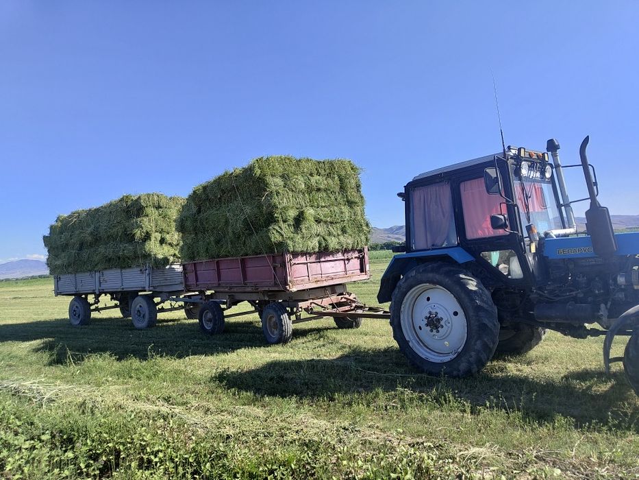 Продам мтз 82.1 .