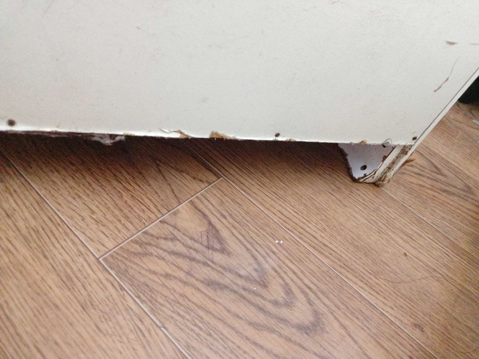 Зеркало медвежонок и тумбо