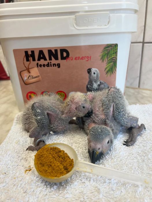 Смеси для выкармливание попугаев Yourparrot