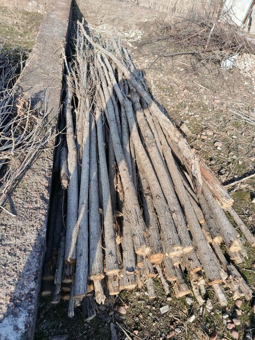 Тераклар ва утинлар сотилади.
Шахсий ховлида турибди.