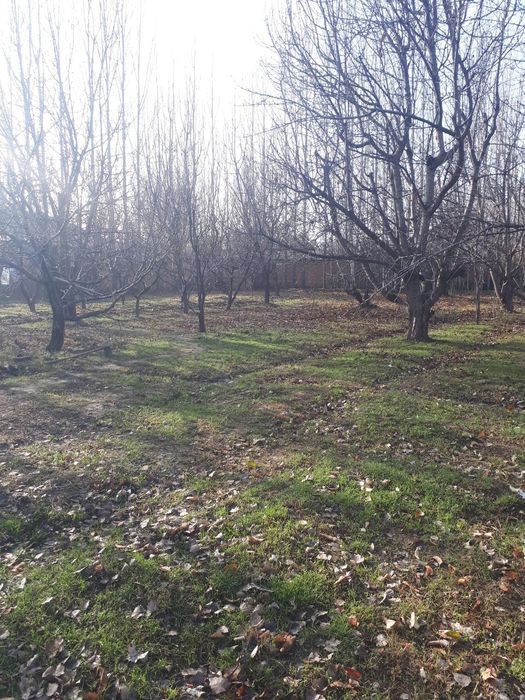 Продается земелный участок / Дала ховли учун ер сотилади