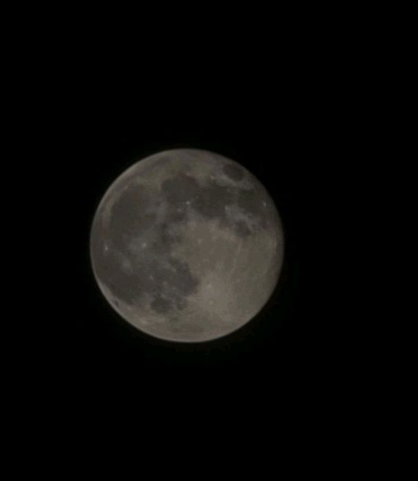 •  Note 20 Ultra •