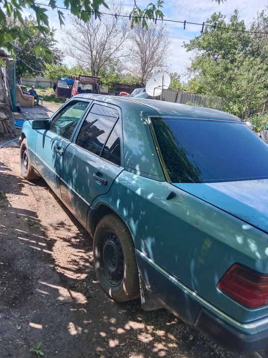 Продам немца состояние средние