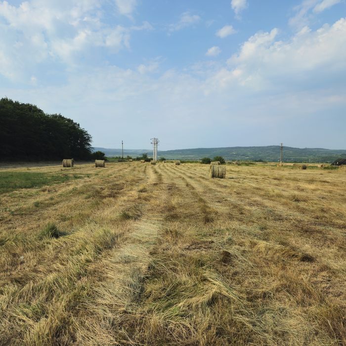 Vând baloti fan amestec cu lucerna.